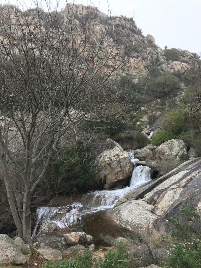 Villa Sardegna Vicino Ad Olbia "La Casa Nel Vicolo" Berchidda Exterior foto